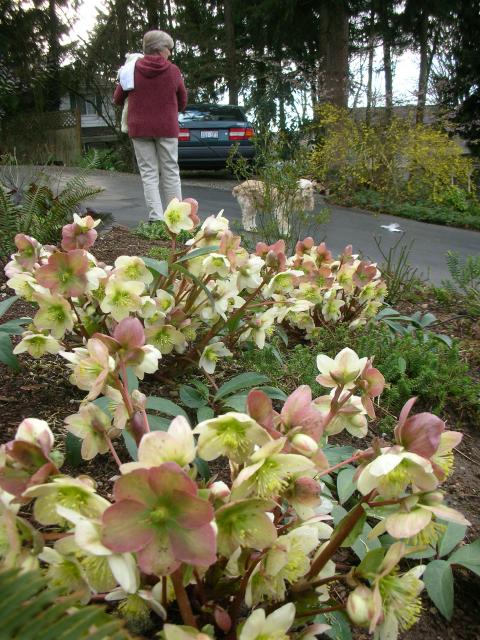 DSCN4768.JPG