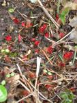 DSCN4772.JPG