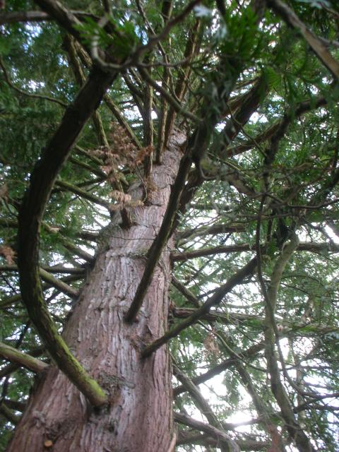 DSCN4775.JPG
