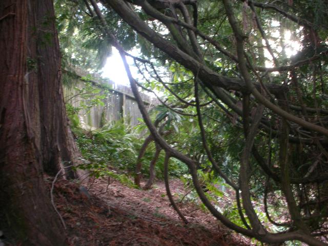 DSCN4776.JPG