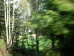 DSCN4884.JPG