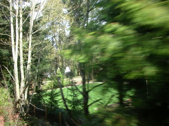DSCN4884.JPG