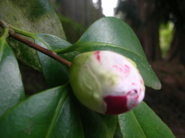 DSCN5058.JPG