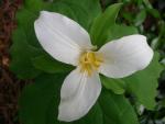DSCN5059.JPG