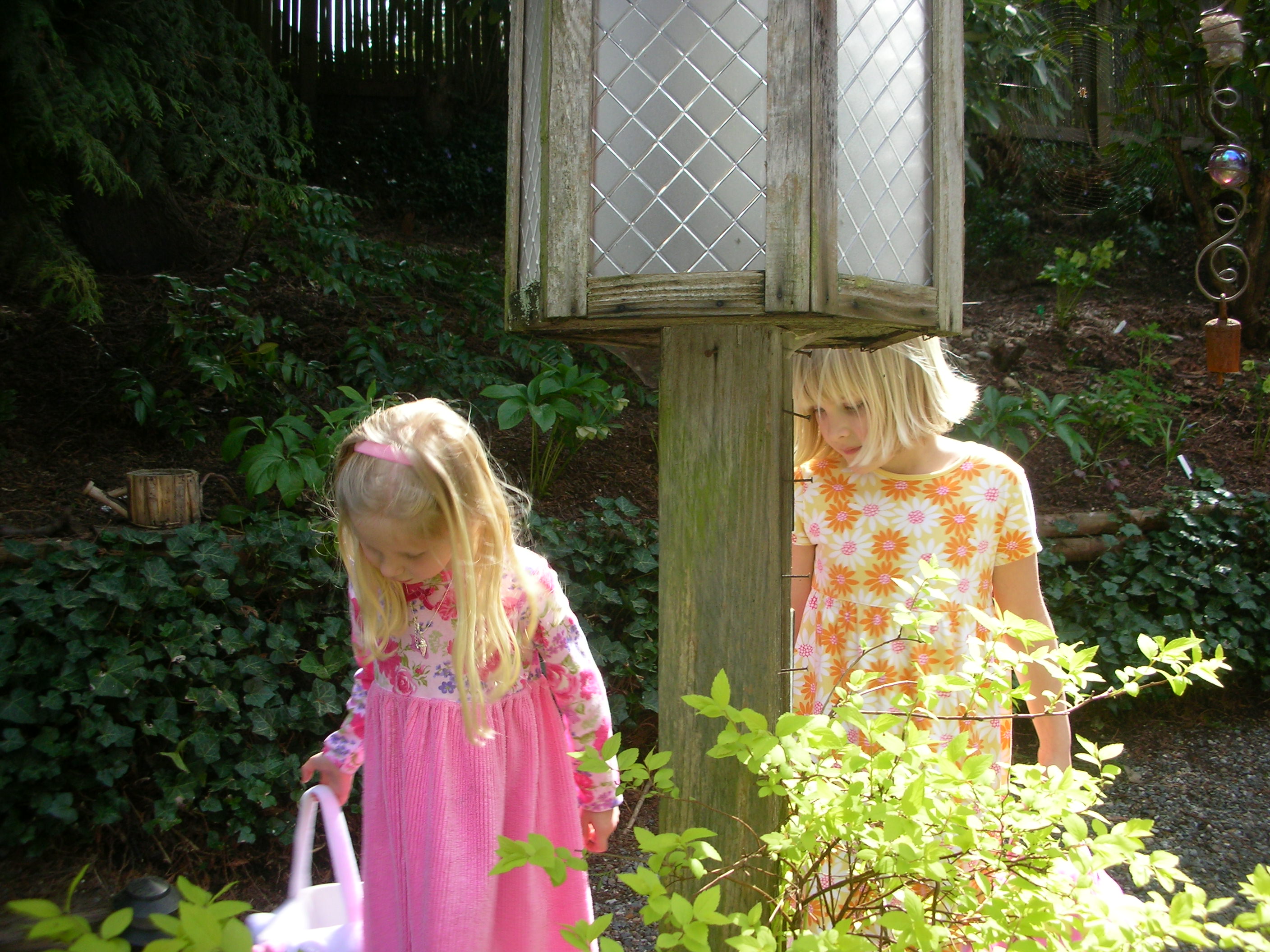DSCN5064.JPG