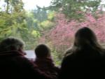 DSCN5098.JPG