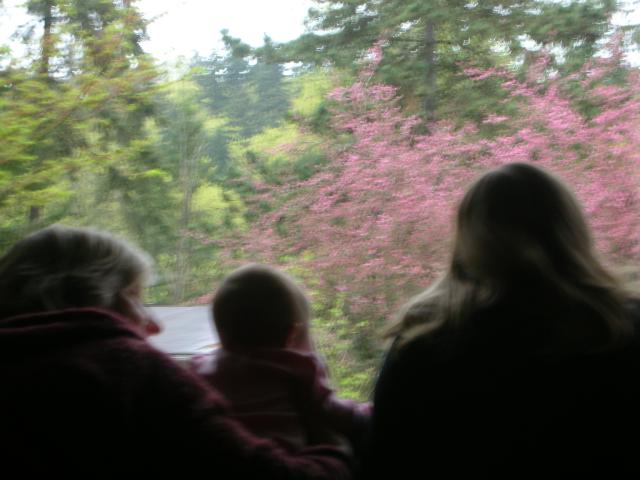 DSCN5098.JPG