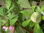 DSCN5163.JPG