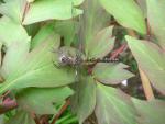 DSCN5165.JPG