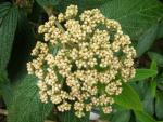 DSCN5173.JPG