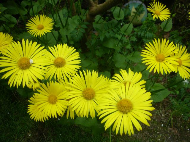 DSCN5182.JPG