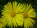 DSCN5183.JPG