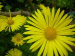 DSCN5184.JPG