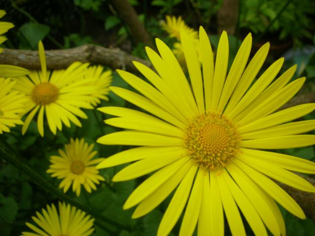 DSCN5184.JPG