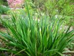 DSCN5187.JPG