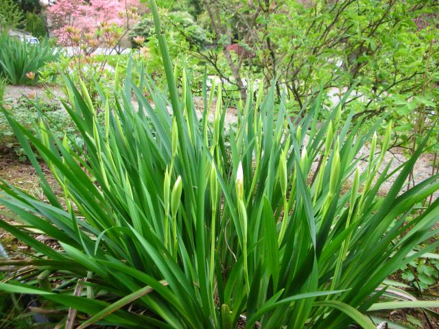 DSCN5187.JPG