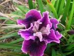 DSCN5189.JPG