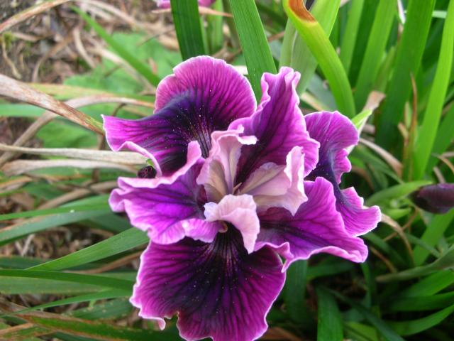 DSCN5189.JPG