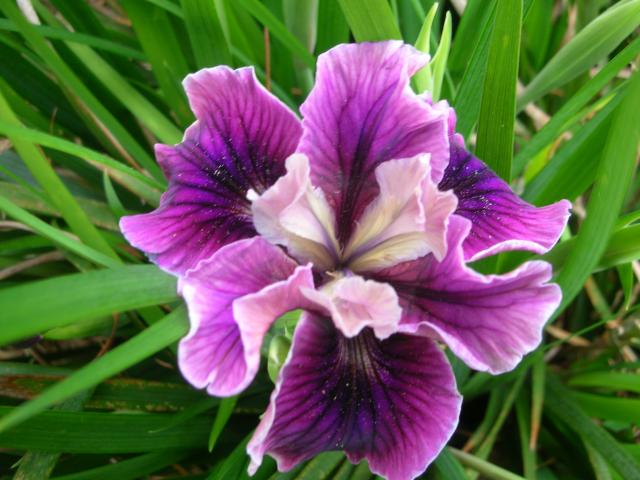 DSCN5190.JPG