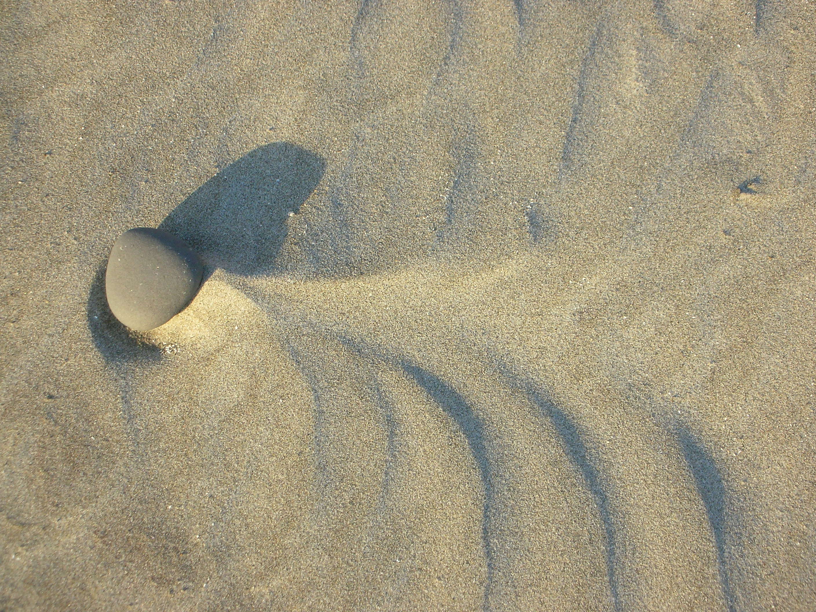 DSCN3565.jpg