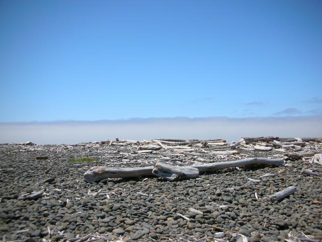 DSCN3409.jpg