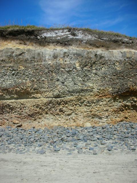 DSCN3489.jpg
