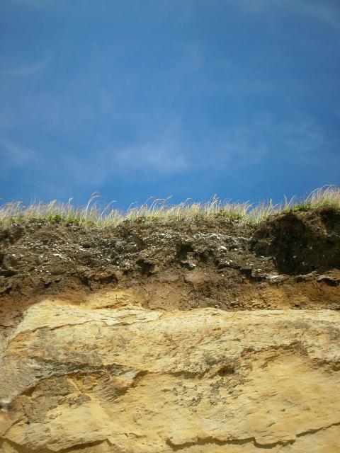 DSCN3490.jpg