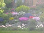 DSCN5226.JPG