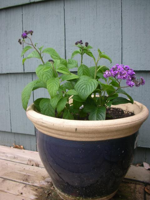 DSCN5248.JPG