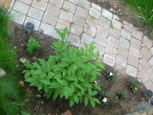 DSCN5250.JPG