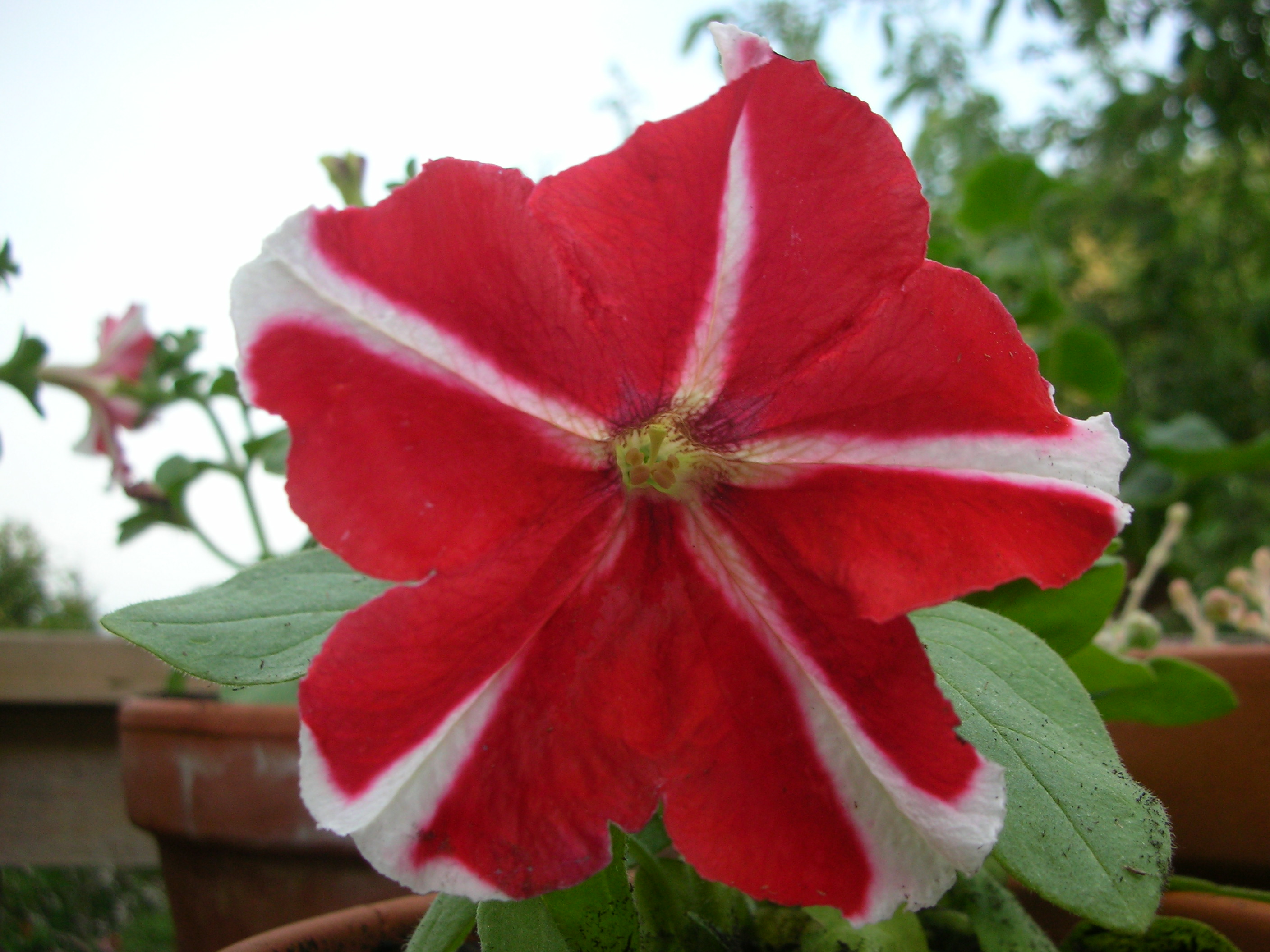 DSCN5252.JPG
