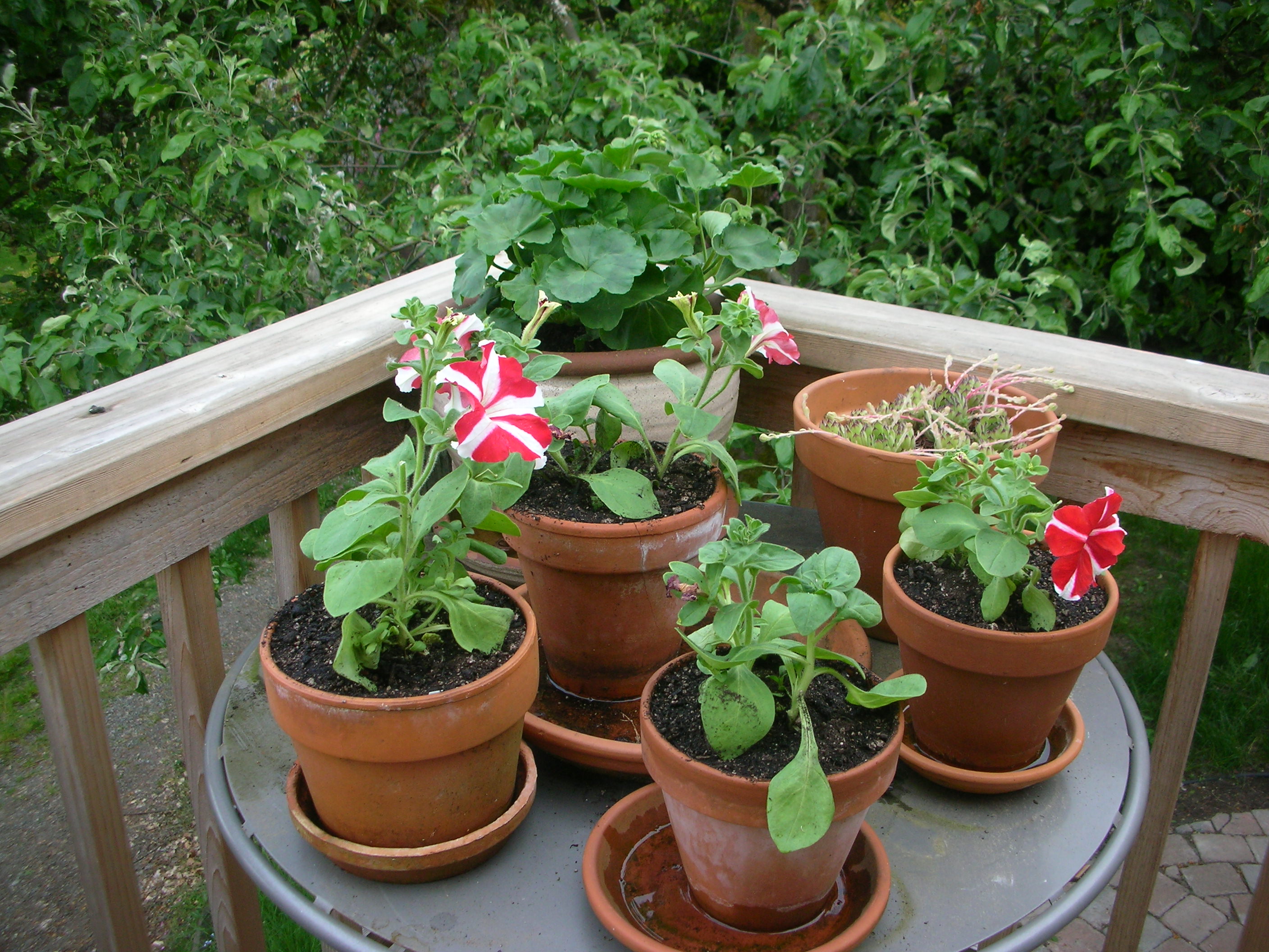 DSCN5247.JPG