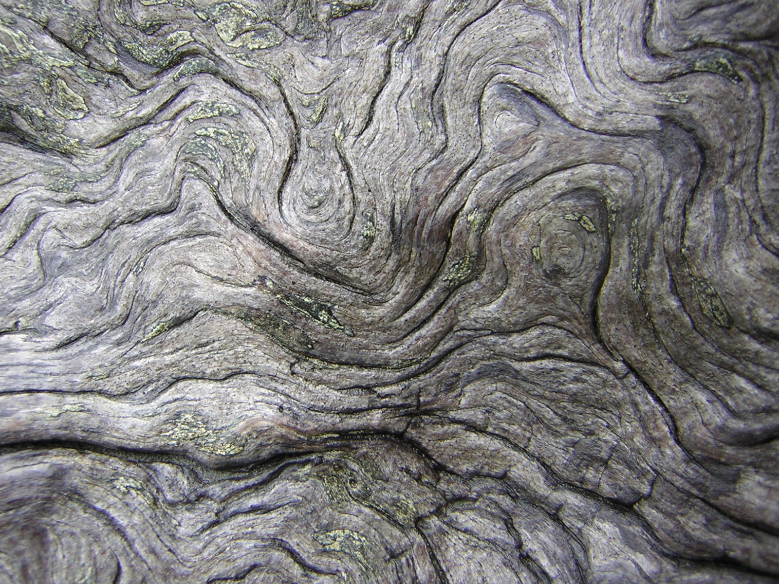 DSCN3253.jpg