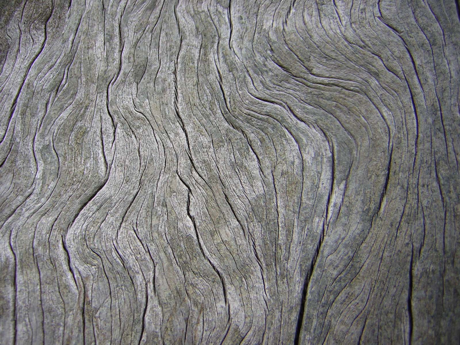 DSCN3254.jpg