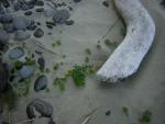 DSCN0238.jpg
