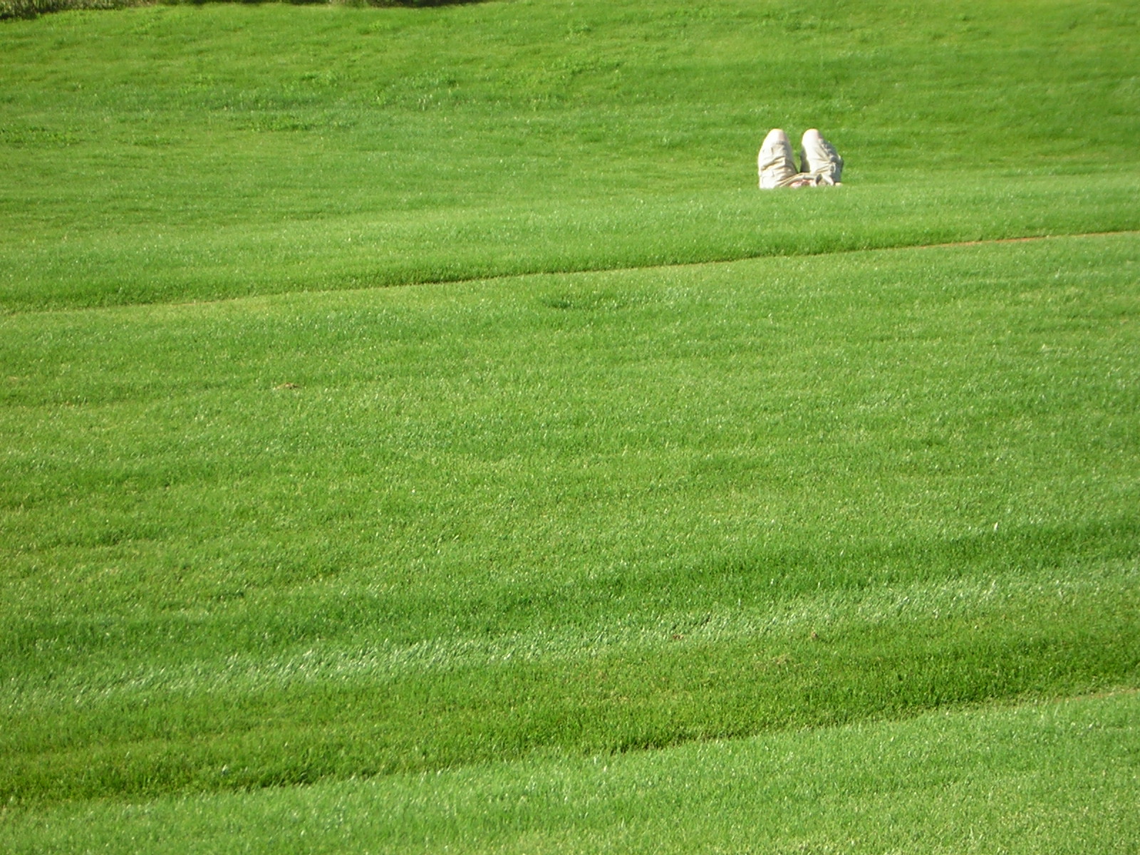 DSCN1321.jpg