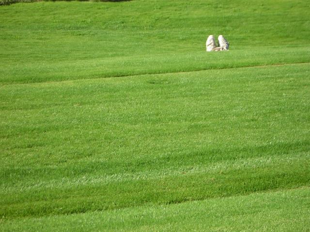 DSCN1321.jpg