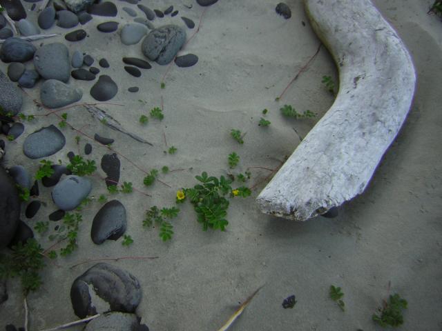 DSCN0238.jpg