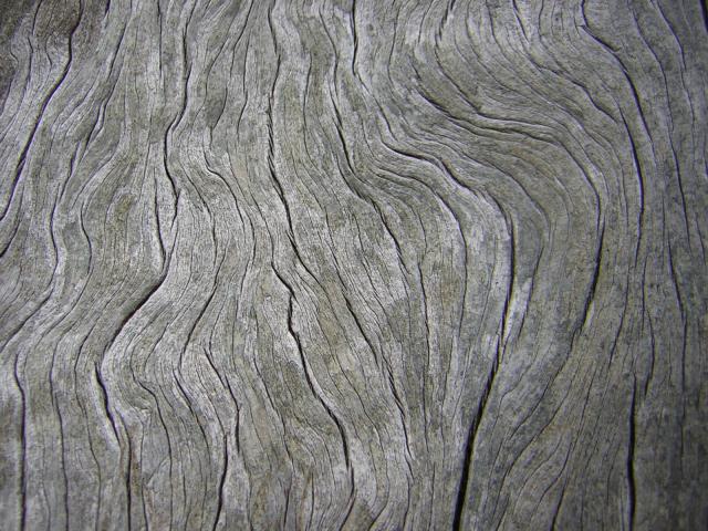 DSCN3254.jpg