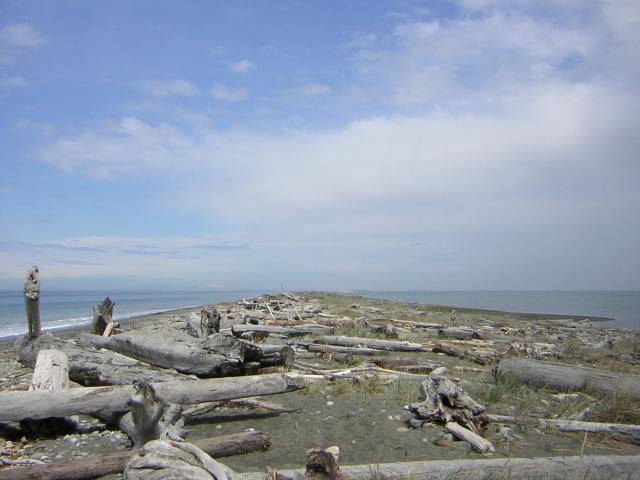 DSCN3314.jpg