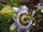 DSCN3340.jpg