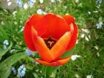 DSCN3075.jpg