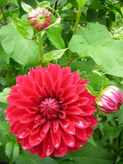 DSCN2074.jpg