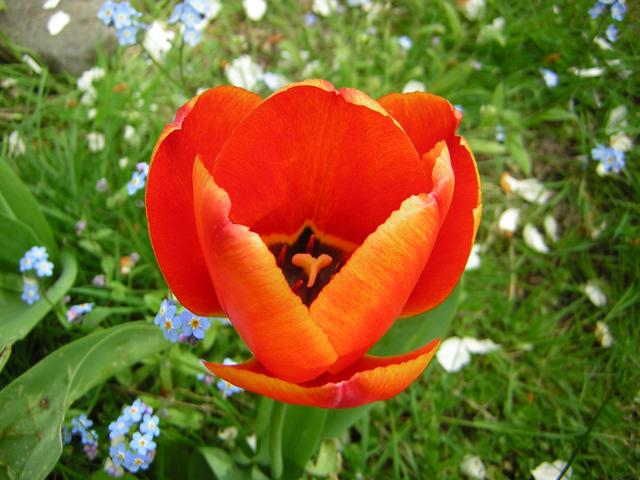 DSCN3075.jpg