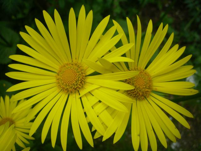 DSCN5183.JPG