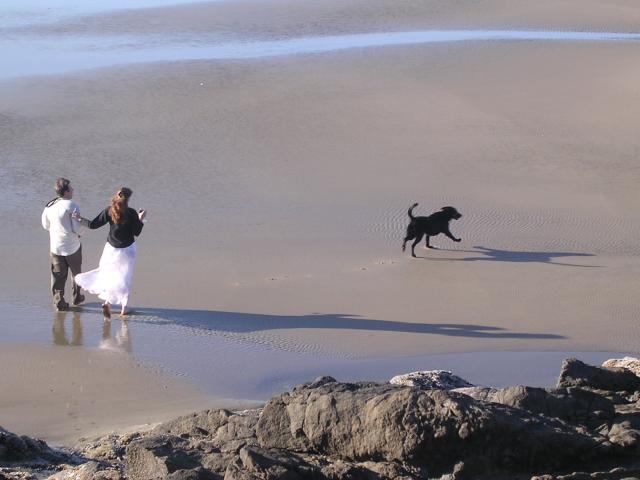 dscn0445.jpg