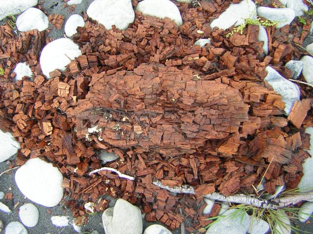 DSCN3287.jpg