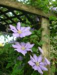 DSCN5288.JPG