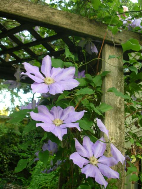 DSCN5288.JPG