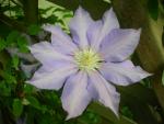 DSCN5289.JPG